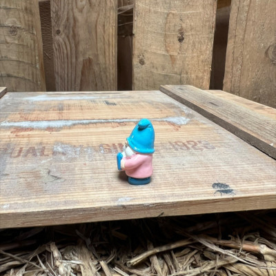 Pink Gnome with Watering Can BOTANICAL BESTIES PLANT COMPANIONS