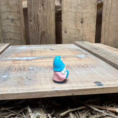 Pink Gnome with Watering Can BOTANICAL BESTIES PLANT COMPANIONS