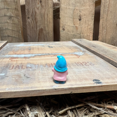 Pink Gnome with Watering Can BOTANICAL BESTIES PLANT COMPANIONS