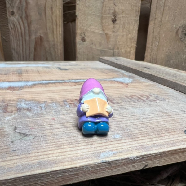 Laying Purple Gnome Reading BOTANICAL BESTIES PLANT COMPANIONS