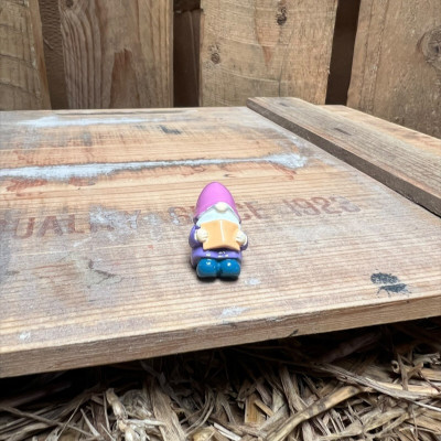 Laying Purple Gnome Reading BOTANICAL BESTIES PLANT COMPANIONS