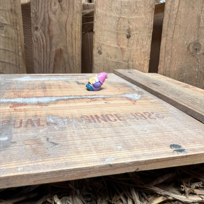 Laying Purple Gnome Reading BOTANICAL BESTIES PLANT COMPANIONS