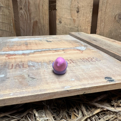Laying Purple Gnome Reading BOTANICAL BESTIES PLANT COMPANIONS