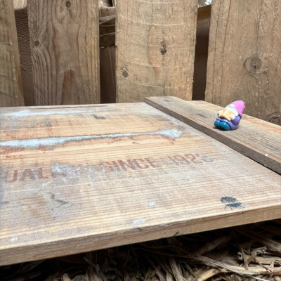 Laying Purple Gnome Reading BOTANICAL BESTIES PLANT COMPANIONS