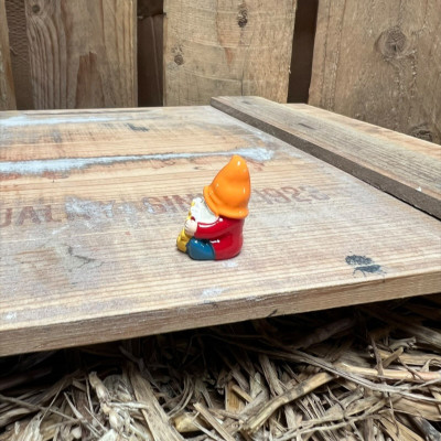 Red Gnome with Giant Flower BOTANICAL BESTIES PLANT COMPANIONS