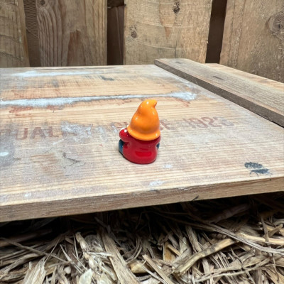 Red Gnome with Giant Flower BOTANICAL BESTIES PLANT COMPANIONS