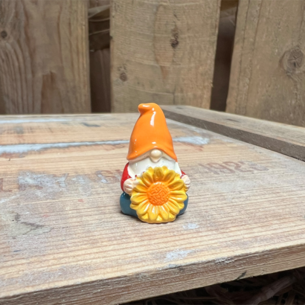 Red Gnome with Giant Flower BOTANICAL BESTIES PLANT COMPANIONS