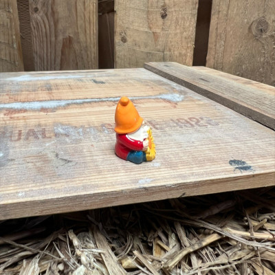 Red Gnome with Giant Flower BOTANICAL BESTIES PLANT COMPANIONS