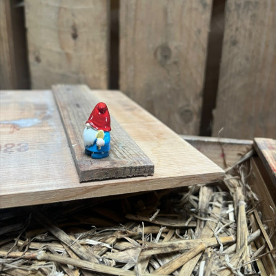 Blue Gnome with Spade BOTANICAL BESTIES PLANT COMPANIONS