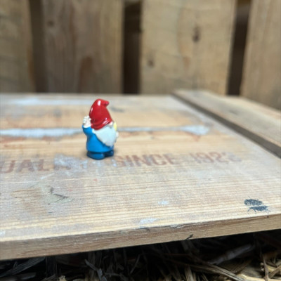 Blue Gnome with Spade BOTANICAL BESTIES PLANT COMPANIONS