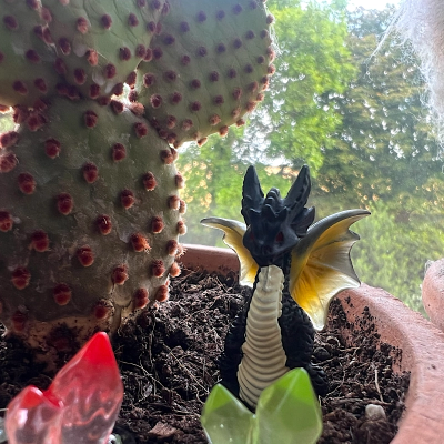 BOTANICAL BESTIES - PLANT COMPANIONS GEM DRAGONS