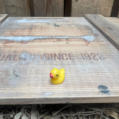 Mini Rubber Duck BOTANICAL BESTIES PLANT COMPANIONS