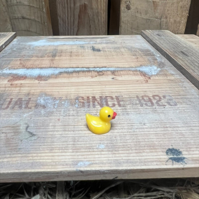 Mini Rubber Duck BOTANICAL BESTIES PLANT COMPANIONS