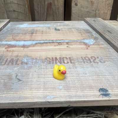 Mini Rubber Duck BOTANICAL BESTIES PLANT COMPANIONS