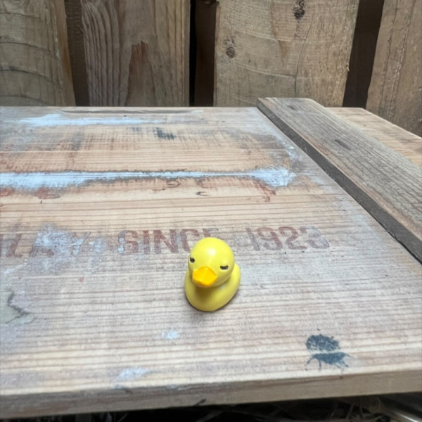 Small Rubber Duck BOTANICAL BESTIES PLANT COMPANIONS