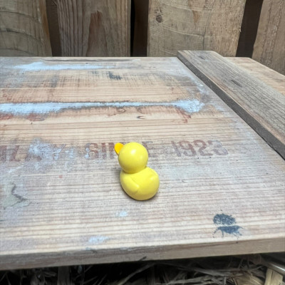 Small Rubber Duck BOTANICAL BESTIES PLANT COMPANIONS