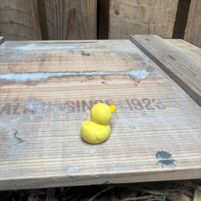 Small Rubber Duck BOTANICAL BESTIES PLANT COMPANIONS