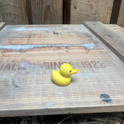 Small Rubber Duck BOTANICAL BESTIES PLANT COMPANIONS