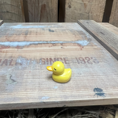 Small Rubber Duck BOTANICAL BESTIES PLANT COMPANIONS