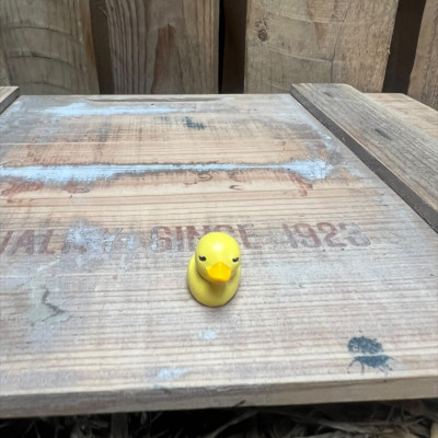 Small Rubber Duck BOTANICAL BESTIES PLANT COMPANIONS
