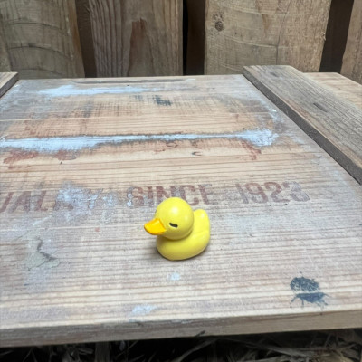Small Rubber Duck BOTANICAL BESTIES PLANT COMPANIONS
