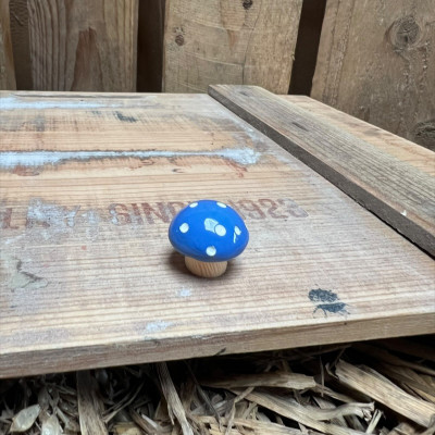 Blue Mushroom BOTANICAL BESTIES PLANT COMPANIONS