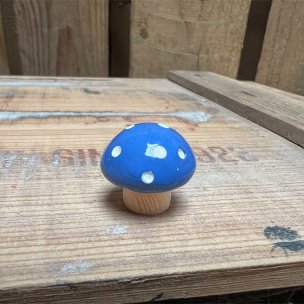 Blue Mushroom BOTANICAL BESTIES PLANT COMPANIONS