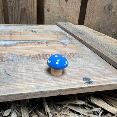 Blue Mushroom BOTANICAL BESTIES PLANT COMPANIONS