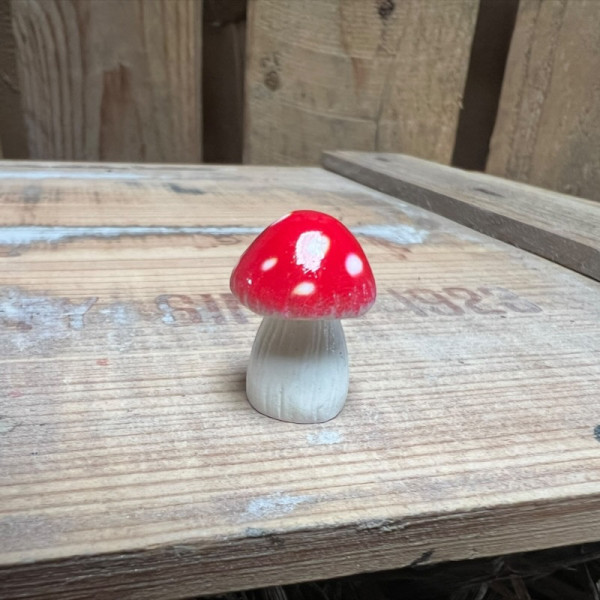 Red Mushroom BOTANICAL BESTIES PLANT COMPANIONS