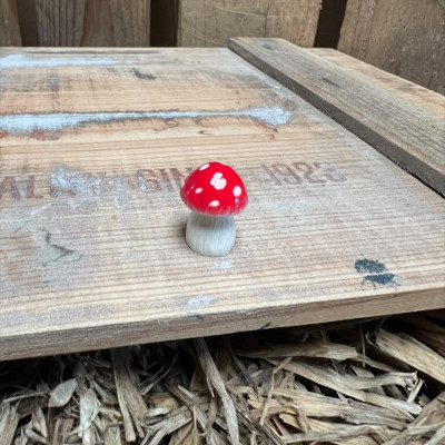 Red Mushroom BOTANICAL BESTIES PLANT COMPANIONS