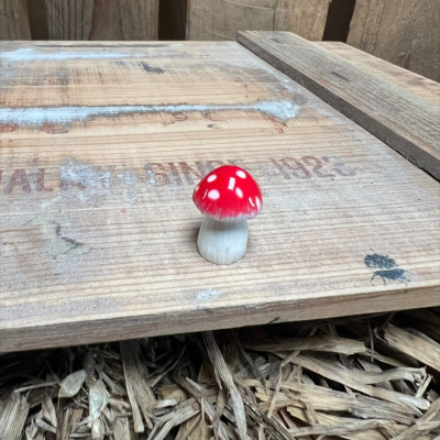 Red Mushroom BOTANICAL BESTIES PLANT COMPANIONS