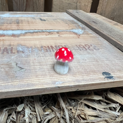 Red Mushroom BOTANICAL BESTIES PLANT COMPANIONS