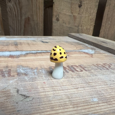 Yellow Mushroom BOTANICAL BESTIES PLANT COMPANIONS