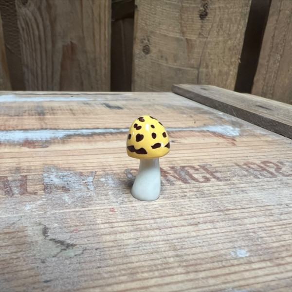 Yellow Mushroom BOTANICAL BESTIES PLANT COMPANIONS
