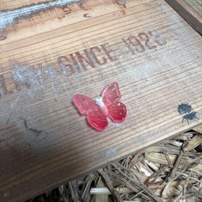 Red Butterfly BOTANICAL BESTIES PLANT COMPANIONS