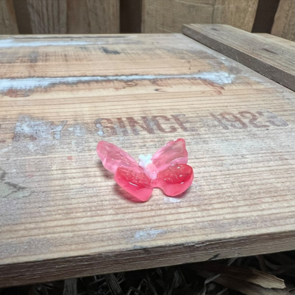Red Butterfly BOTANICAL BESTIES PLANT COMPANIONS