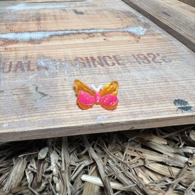 Red and Orange Butterfly BOTANICAL BESTIES PLANT COMPANIONS