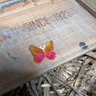 Red and Orange Butterfly BOTANICAL BESTIES PLANT COMPANIONS