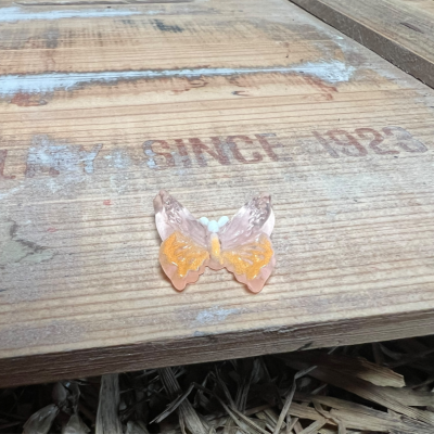 White and Orange Butterfly BOTANICAL BESTIES PLANT COMPANIONS