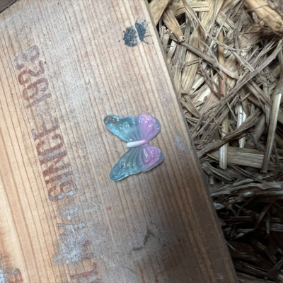 Blue and Purple Butterfly BOTANICAL BESTIES PLANT COMPANIONS