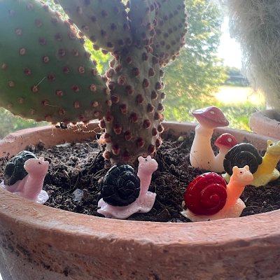 BOTANICAL BESTIES - PLANT COMPANIONS SNAILS AND MUSHROOMS