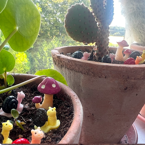 BOTANICAL BESTIES - PLANT COMPANIONS SNAILS AND MUSHROOMS