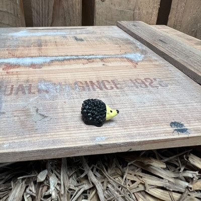 Mini Hedgehog BOTANICAL BESTIES PLANT COMPANIONS