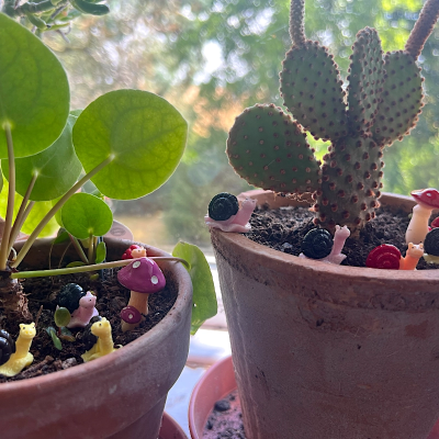 BOTANICAL BESTIES - PLANT COMPANIONS SNAILS AND MUSHROOMS