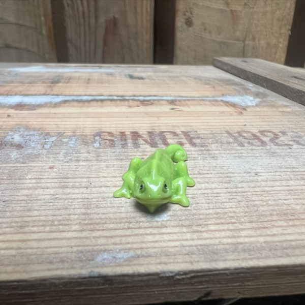Gecko BOTANICAL BESTIES PLANT COMPANIONS