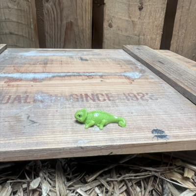 Gecko BOTANICAL BESTIES PLANT COMPANIONS