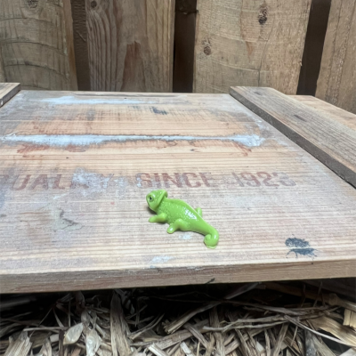 Gecko BOTANICAL BESTIES PLANT COMPANIONS