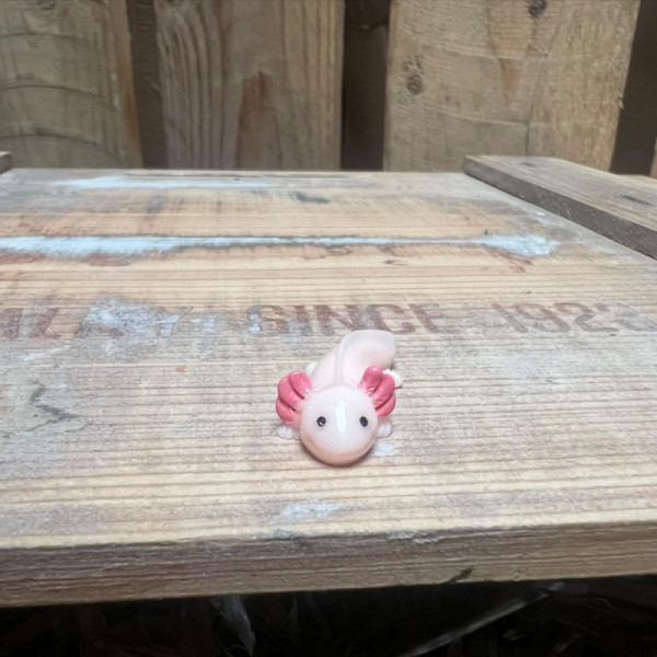 Axolotl BOTANICAL BESTIES PLANT COMPANIONS