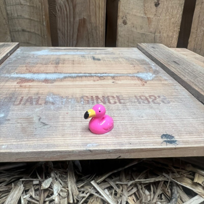 Flamingo BOTANICAL BESTIES PLANT COMPANIONS