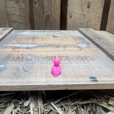 Flamingo BOTANICAL BESTIES PLANT COMPANIONS